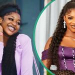 Purple Speedy Biography: Age, Net Worth, Family, Relationship, Height, Education, Tiktok Career 2024