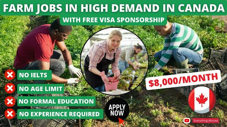 Farm jobs in Canada with visa sponsorship