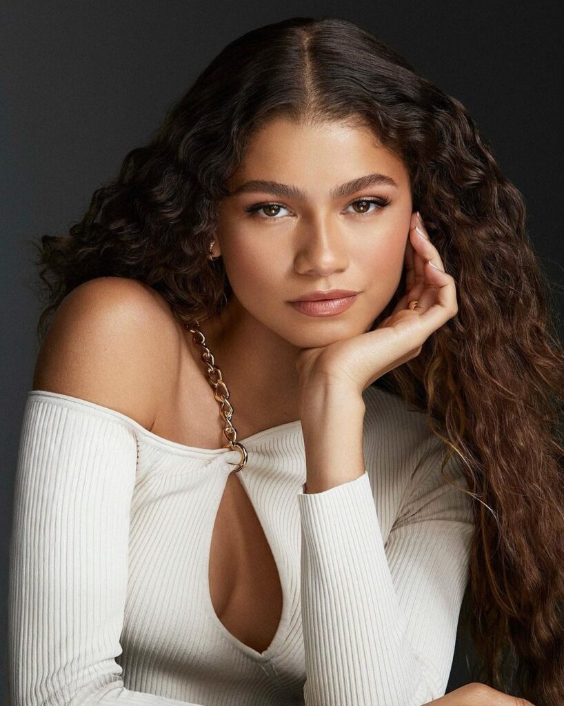 Zendaya's Net Worth 2025: Pop Culture Icon's Fortune Revealed
