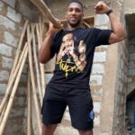 Antony Joshua grateful to Nigeria, departs for next fight