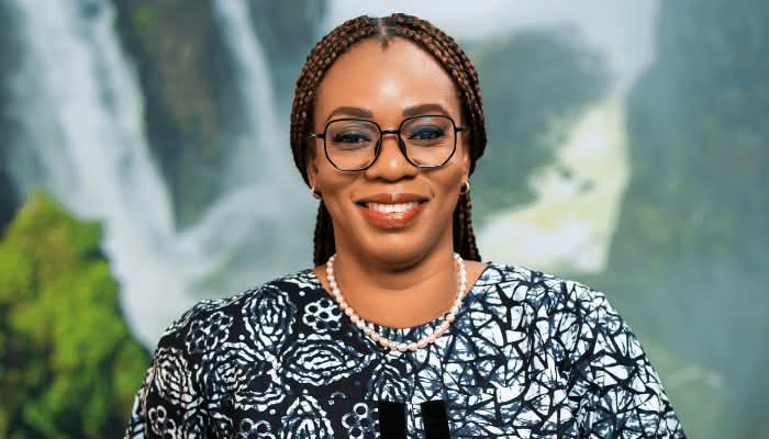 Kemi Omotosho replaces Ugbe as MultiChoice CEO