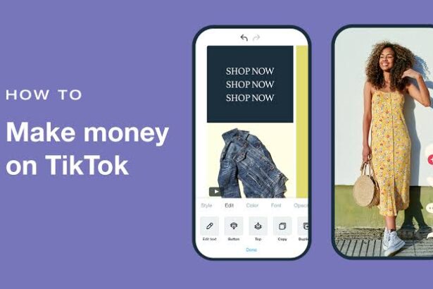 make money on TikTok without showing face